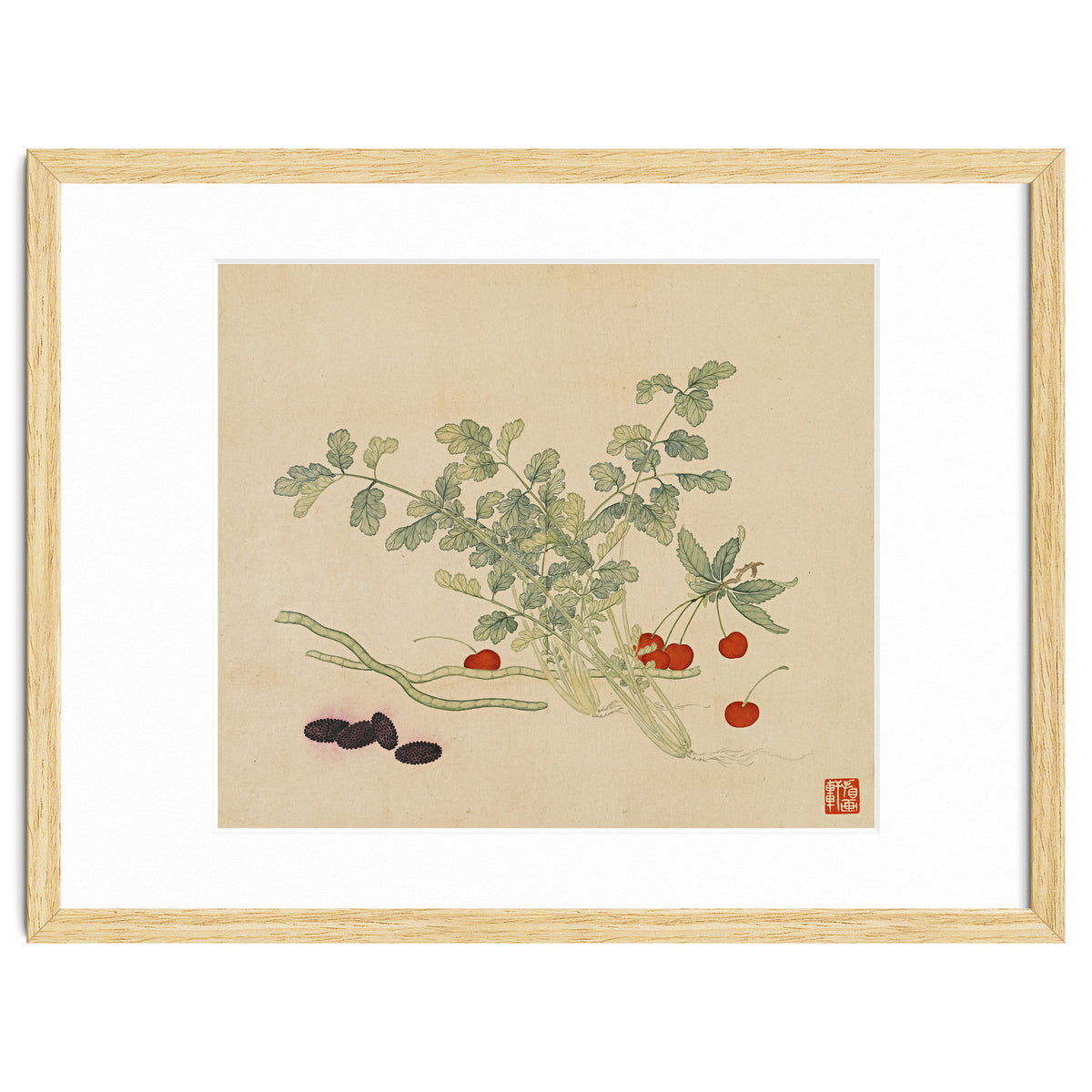 Wang Chengyu~flowers And Vegetables, Vegetables, Fruits, Beans, Red Beans, Cherries, Celery