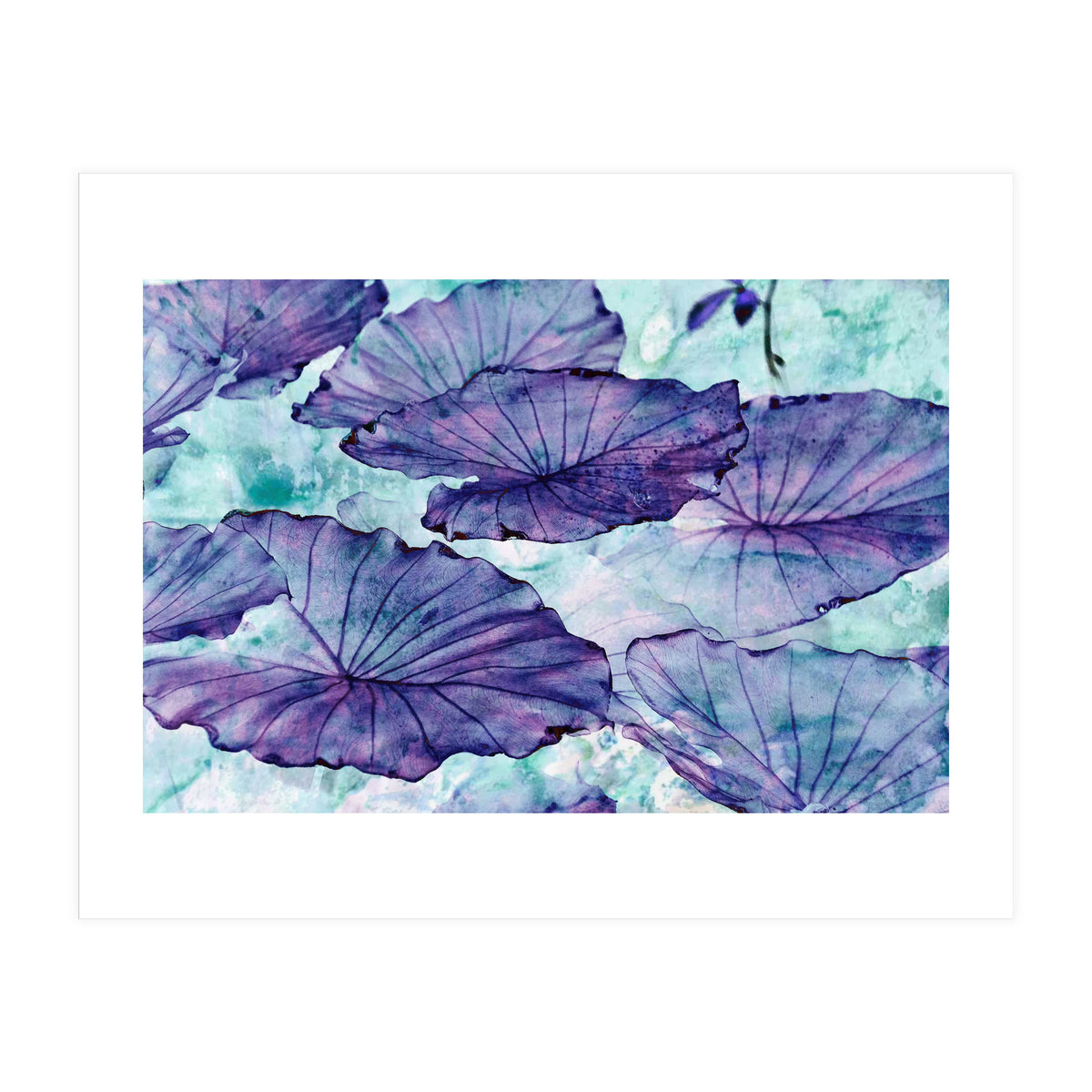 Botanical Surrealism (Print Only)