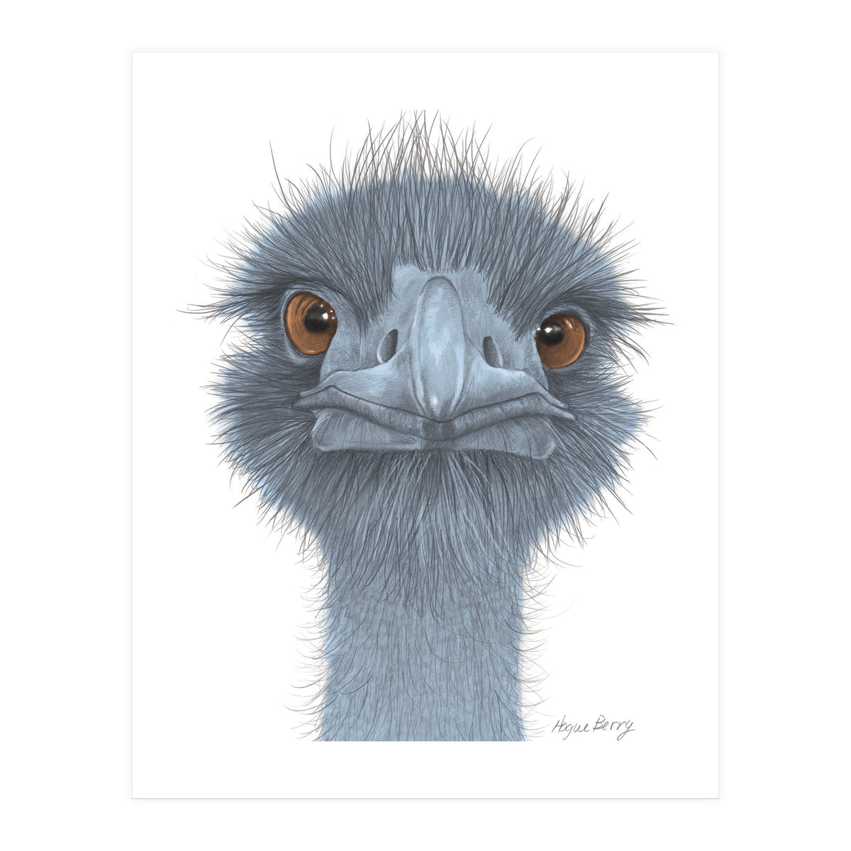 The Blue Emu (Print Only)
