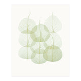 Cc Leaves 02 (Print Only) thumbnail