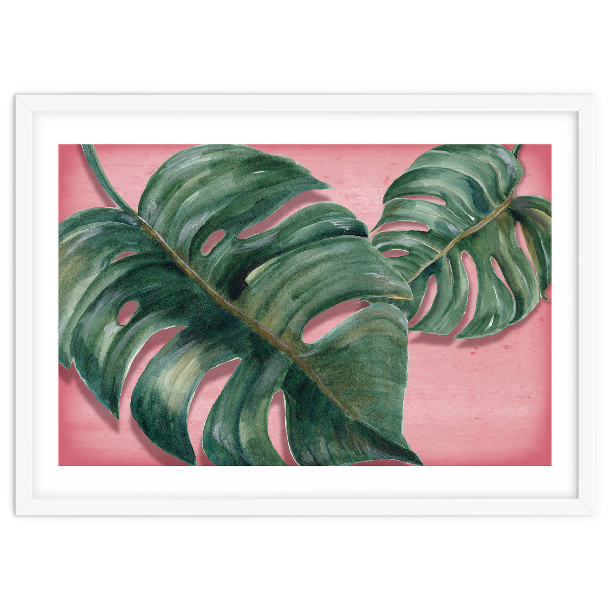 Monstera Leaf