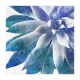 Rough Beauty 3 (Print Only) thumbnail