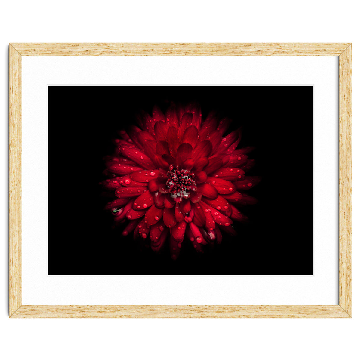 Backyard Flowers 45 Color Version