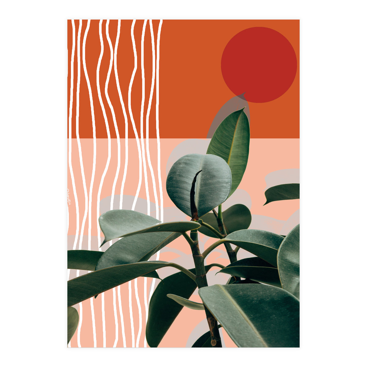 Times of a Growing Plant (Print Only)