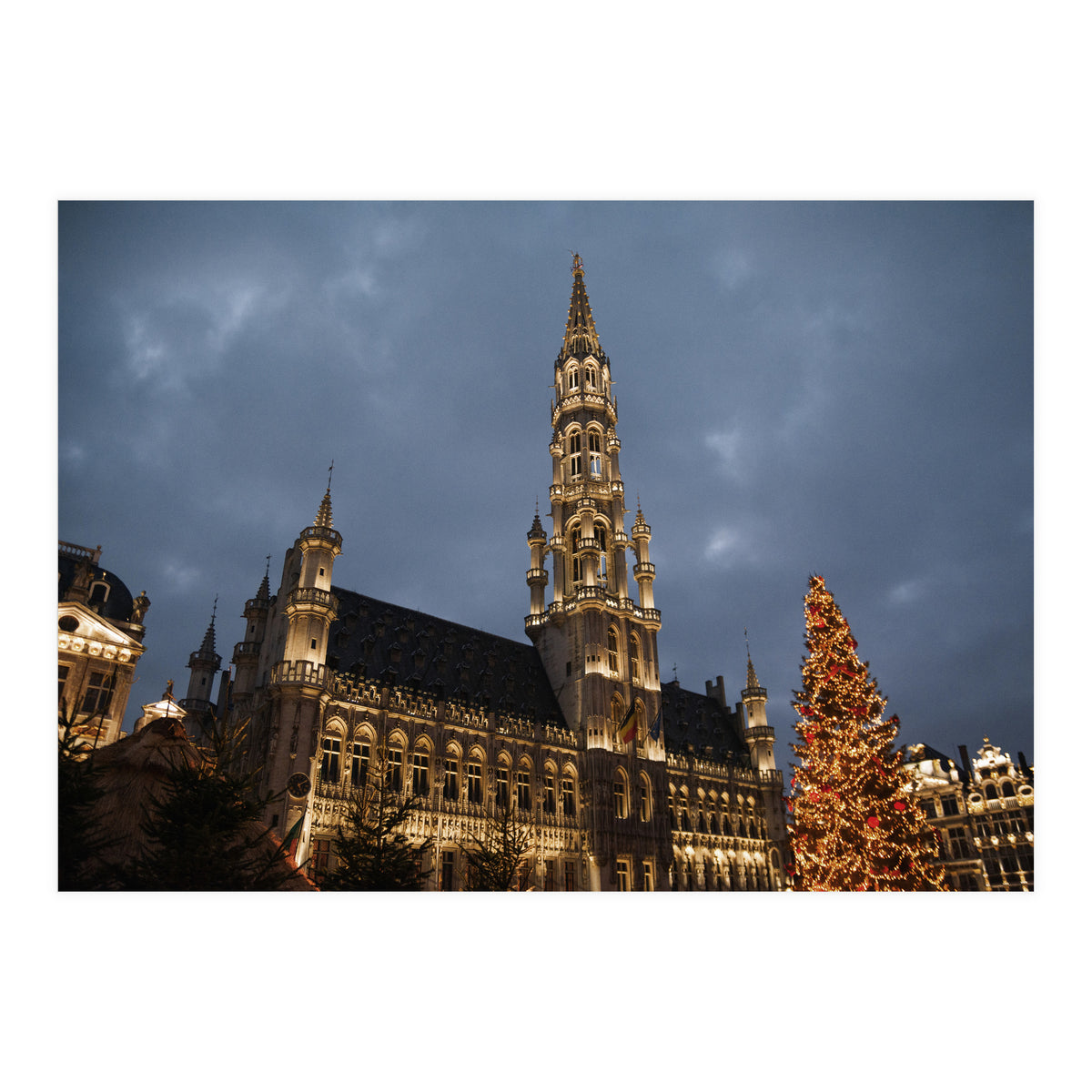 Home Alone (Print Only)