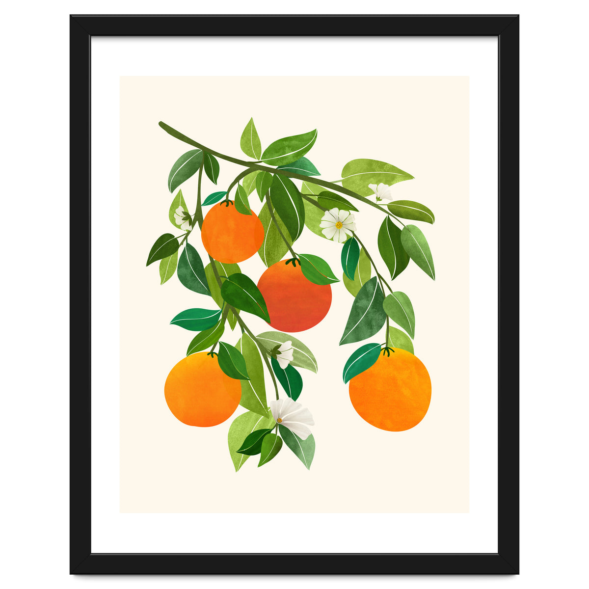 Oranges and Blossoms II