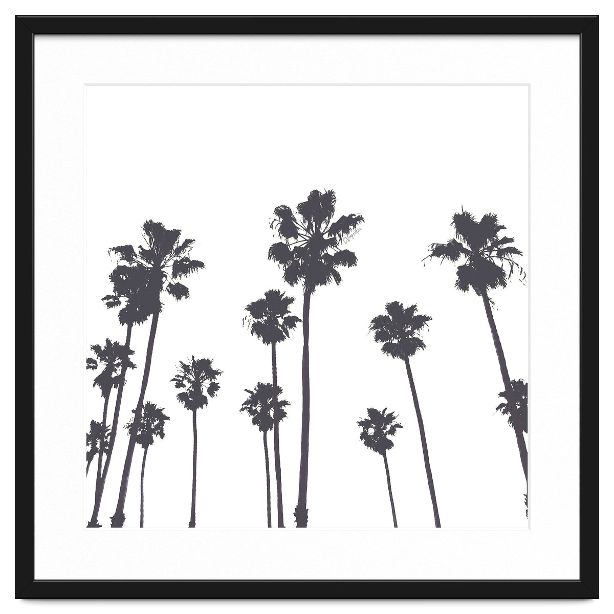 Palms & Sunset-Minimal B&W