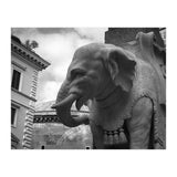 Elephant and Obelisk (Print Only) thumbnail