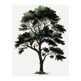 Tree Minimalist Watercolor (Print Only) thumbnail