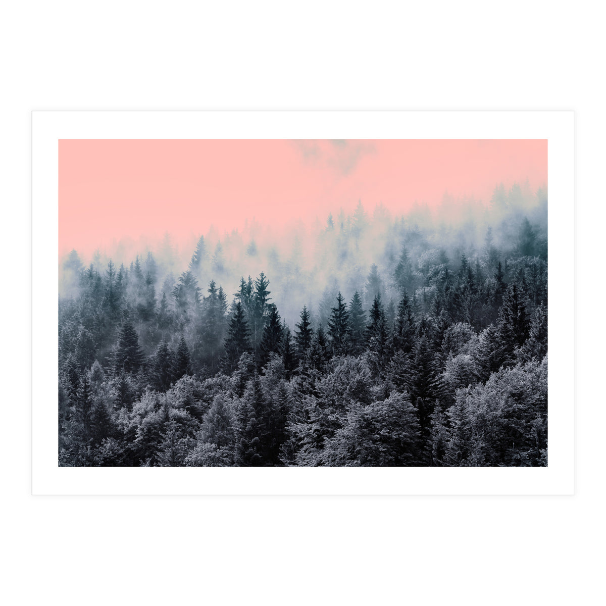 Forest in gray and pink  (Print Only)