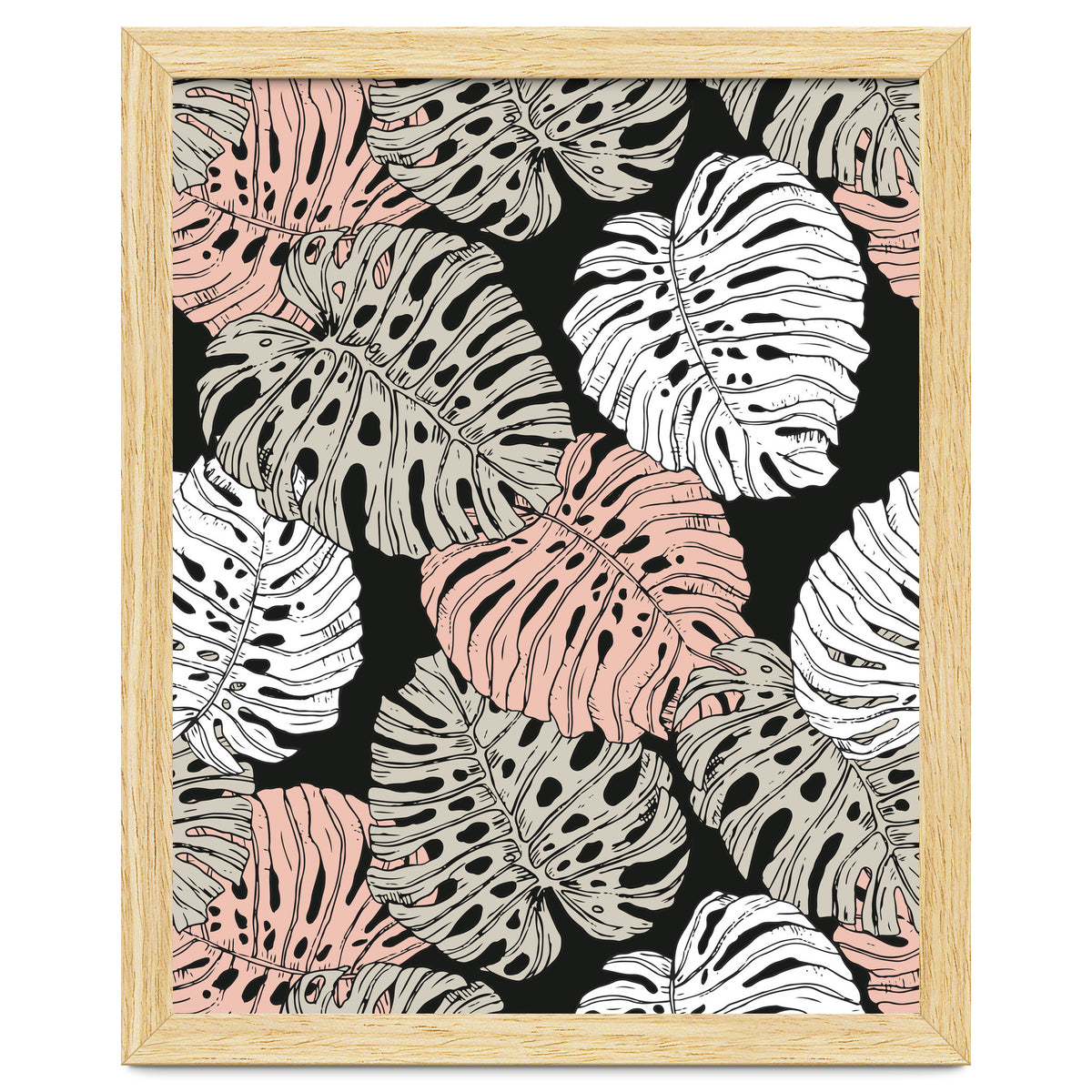 Monstera in the darkness of the jungle