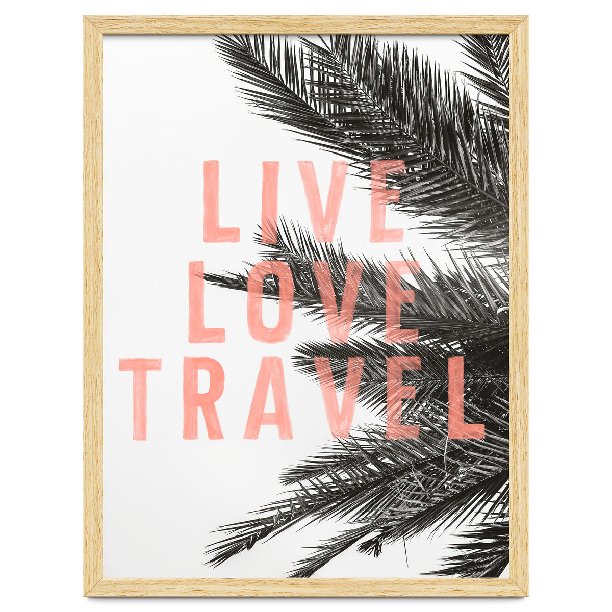 Live Love Travel