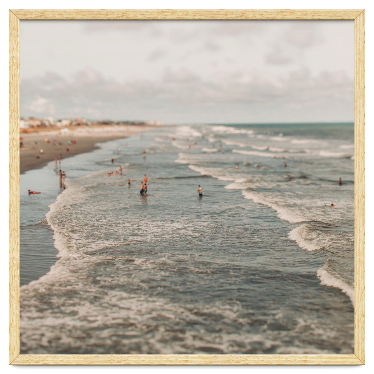 Searching For Summer