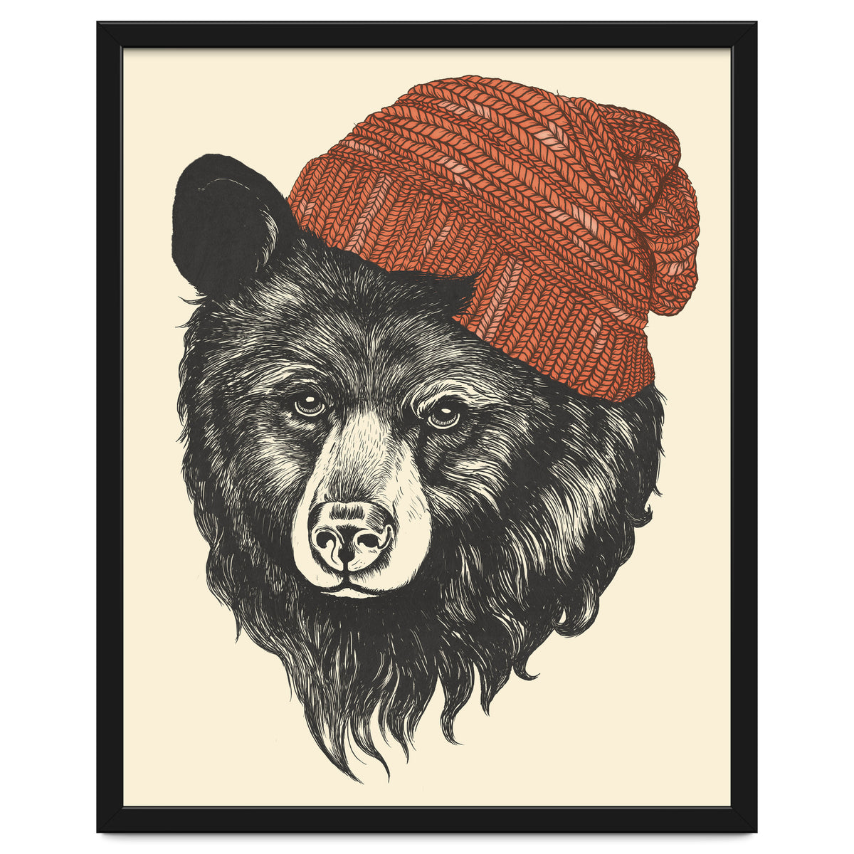 Zissou The Bear