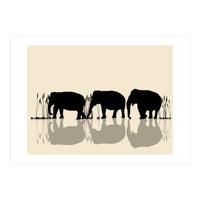 Elephants Crossing Water (Print Only)