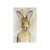 Harriet Hare (Print Only) thumbnail