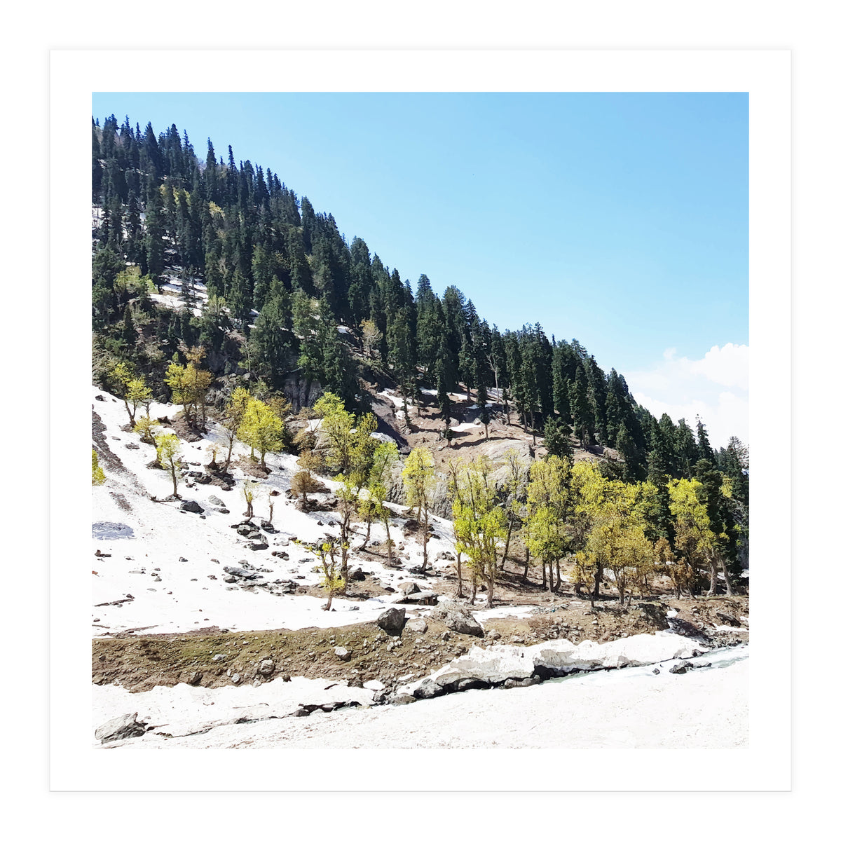 Kashmir V2 (Print Only)