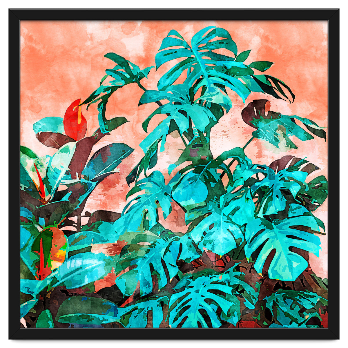 Monstera In My Backyard