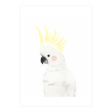 Sweet Cockatoo (Print Only) thumbnail