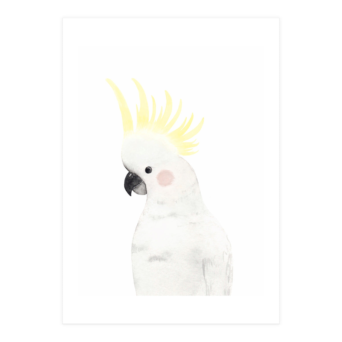 Sweet Cockatoo (Print Only)