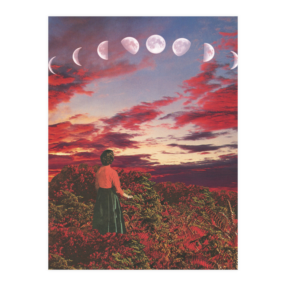 Crimson Paradise (Print Only)