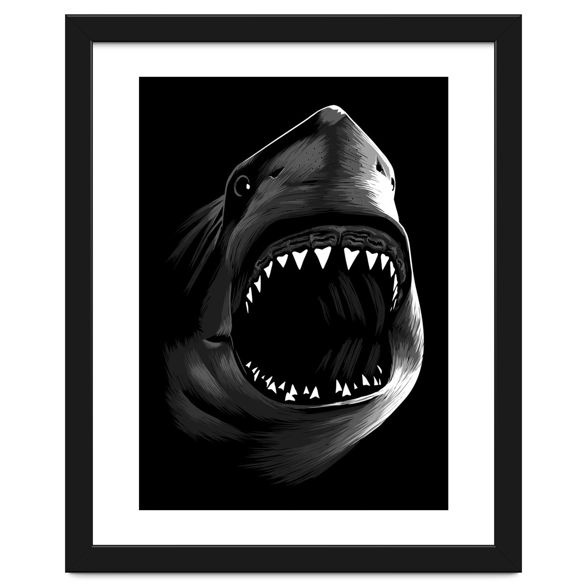 Megalodon