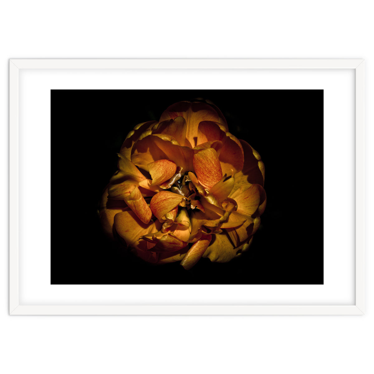 Backyard Flowers No 80 Color Version