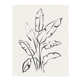 Banana Leafs Drawing (Print Only) thumbnail