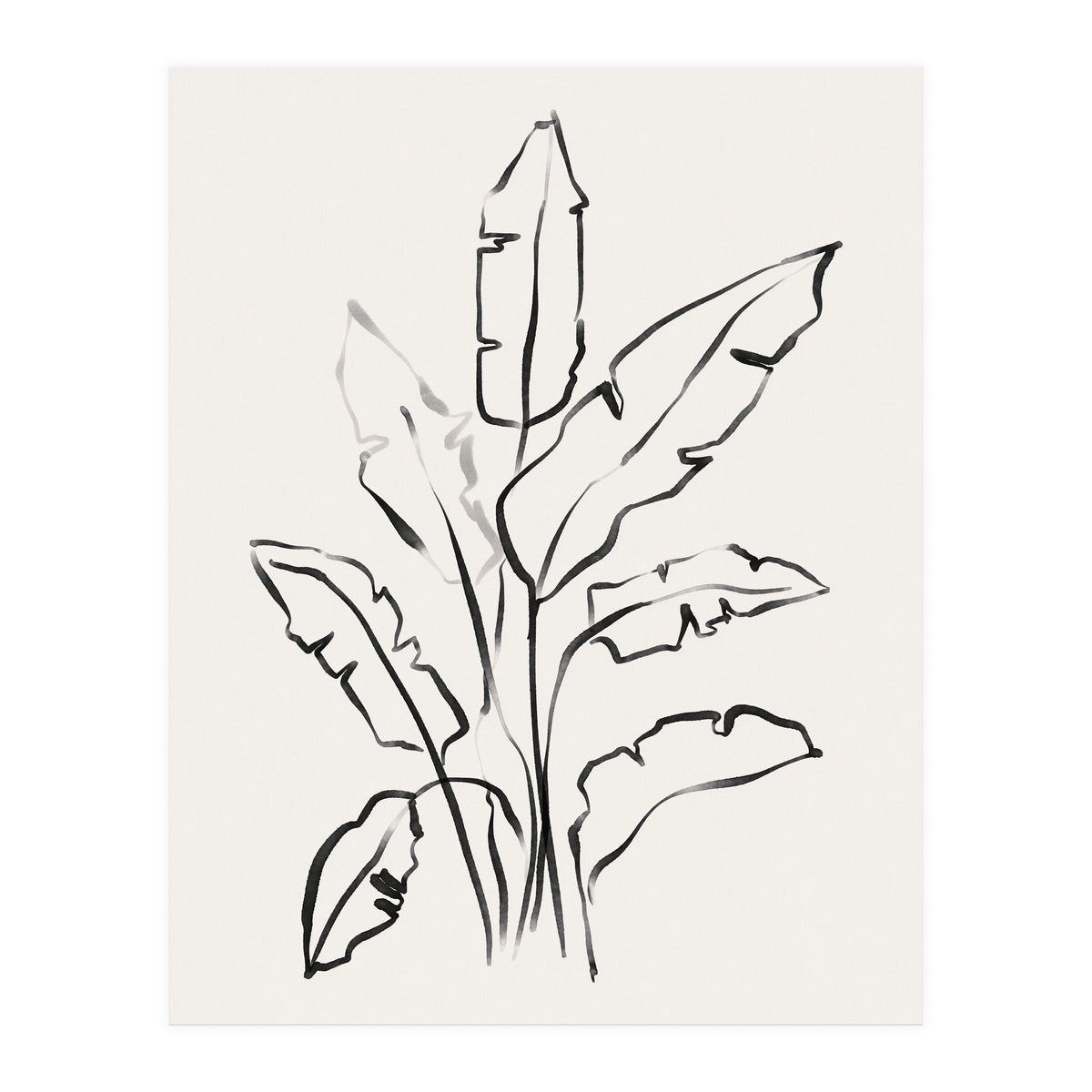 Banana Leafs Drawing (Print Only)