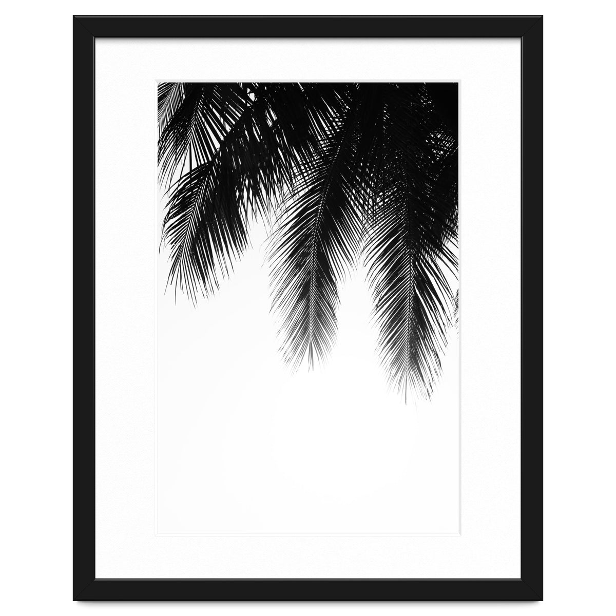 Palm leaves