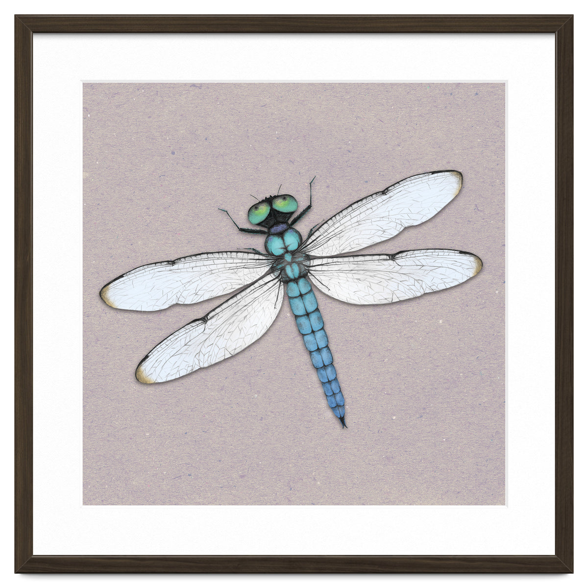 Blue dragonfly