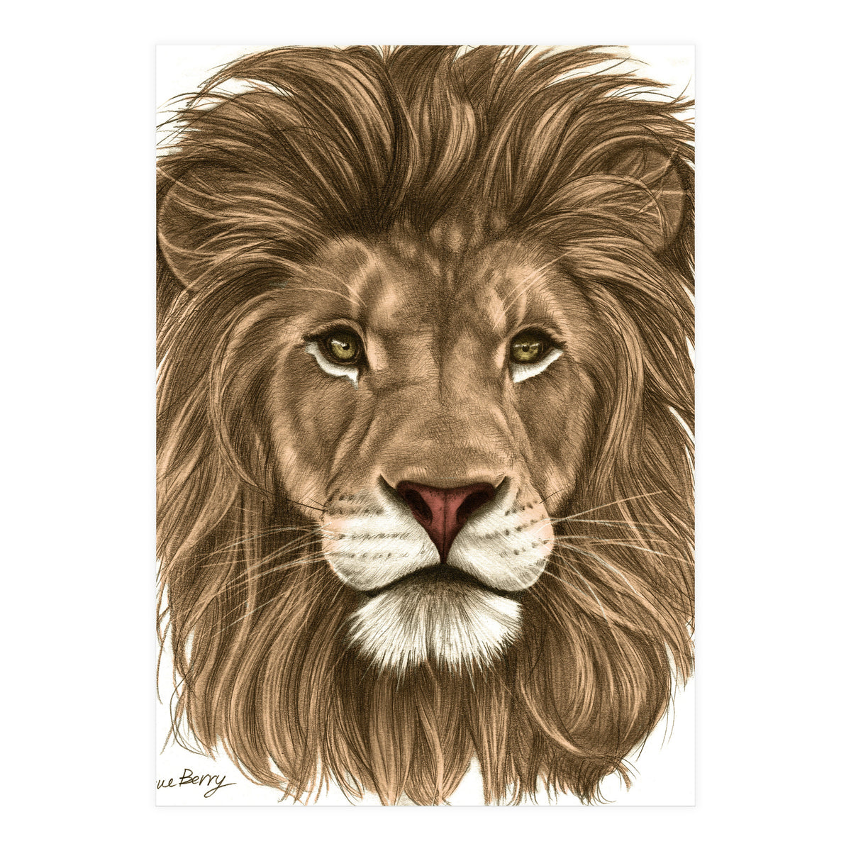 The Majestic Lion (Print Only)