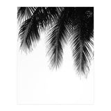 Palm leaves (Print Only) thumbnail