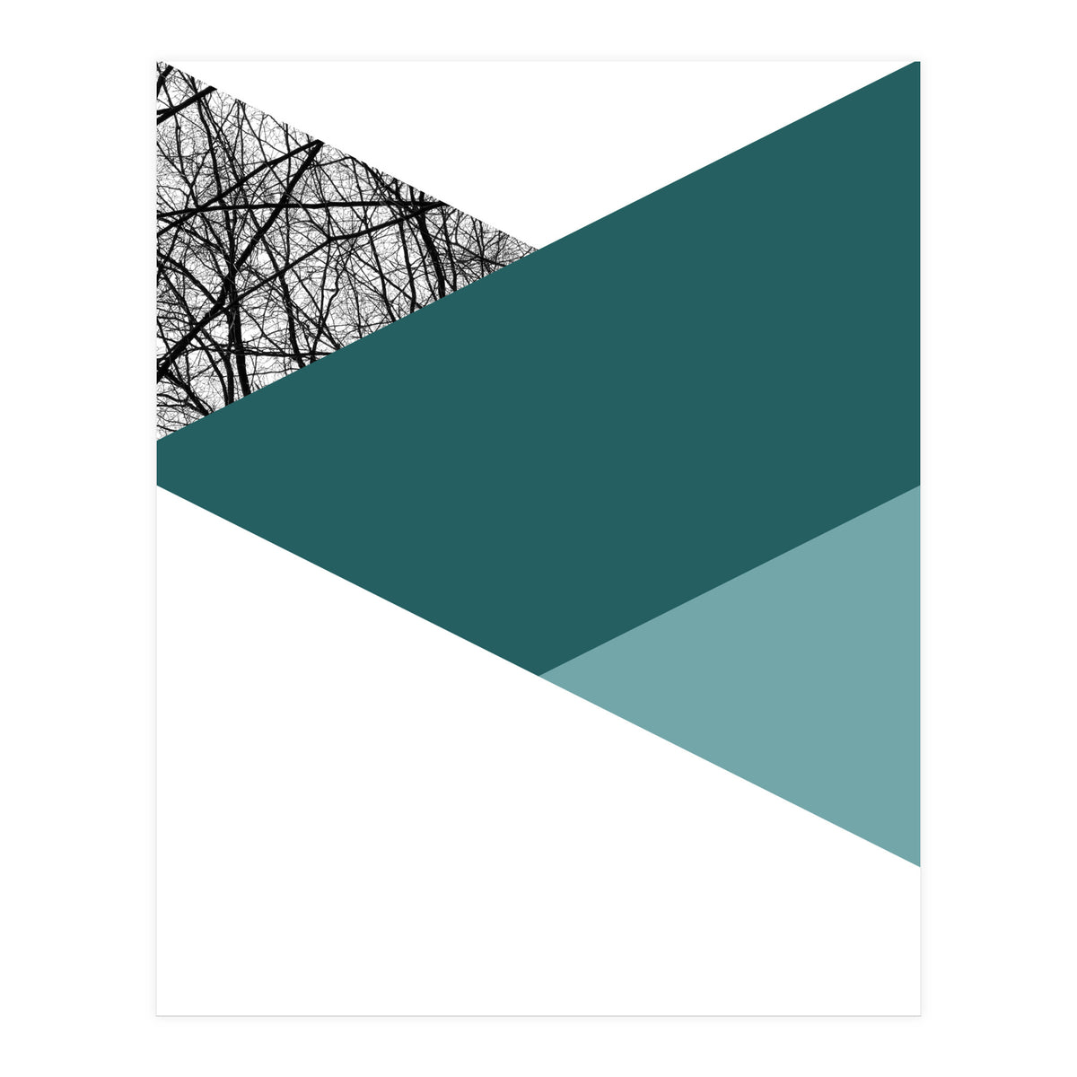 TRIWOOD I (Print Only)