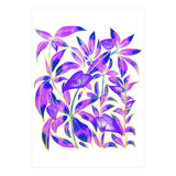 Ultraviolet Nature (Print Only) thumbnail