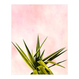 Joy Of Dreams (Print Only) thumbnail