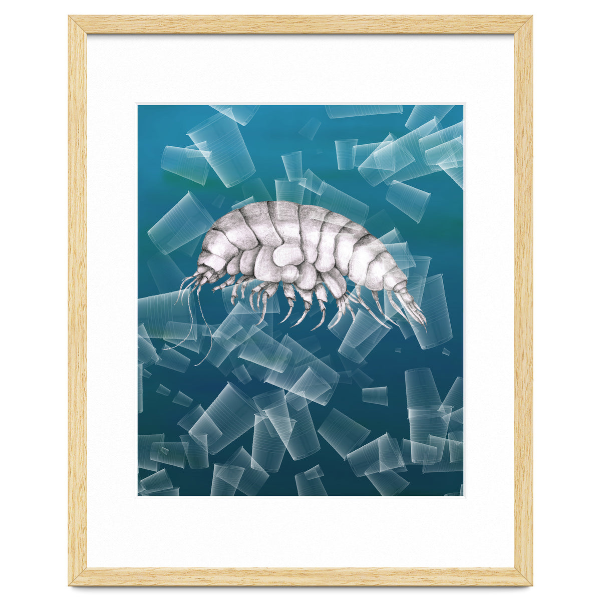 Eurythenes Plasticus