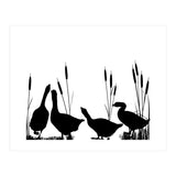Geeses  (Print Only) thumbnail