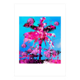 Pink Palm (Print Only) thumbnail