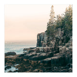 Saltwater Glow (Print Only) thumbnail