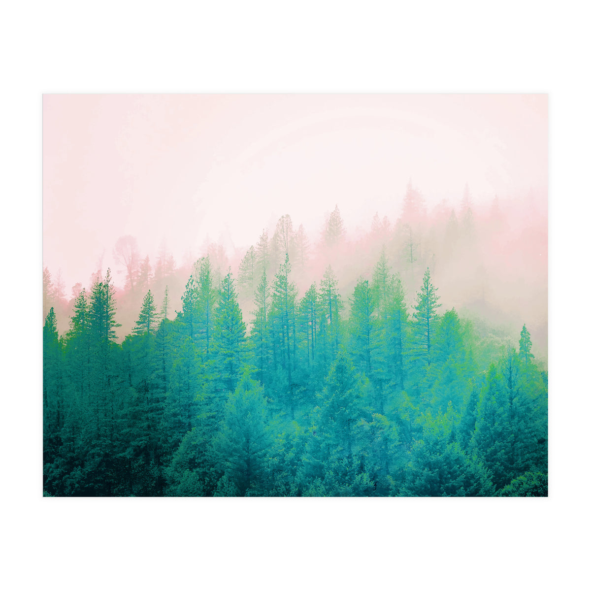 Forest Fog V2 (Print Only)