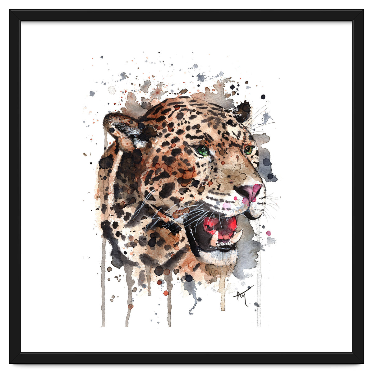 Leopard - Wildlife Collection