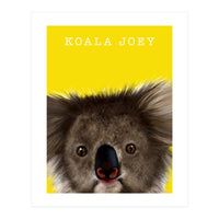 Koala Joey (Print Only)