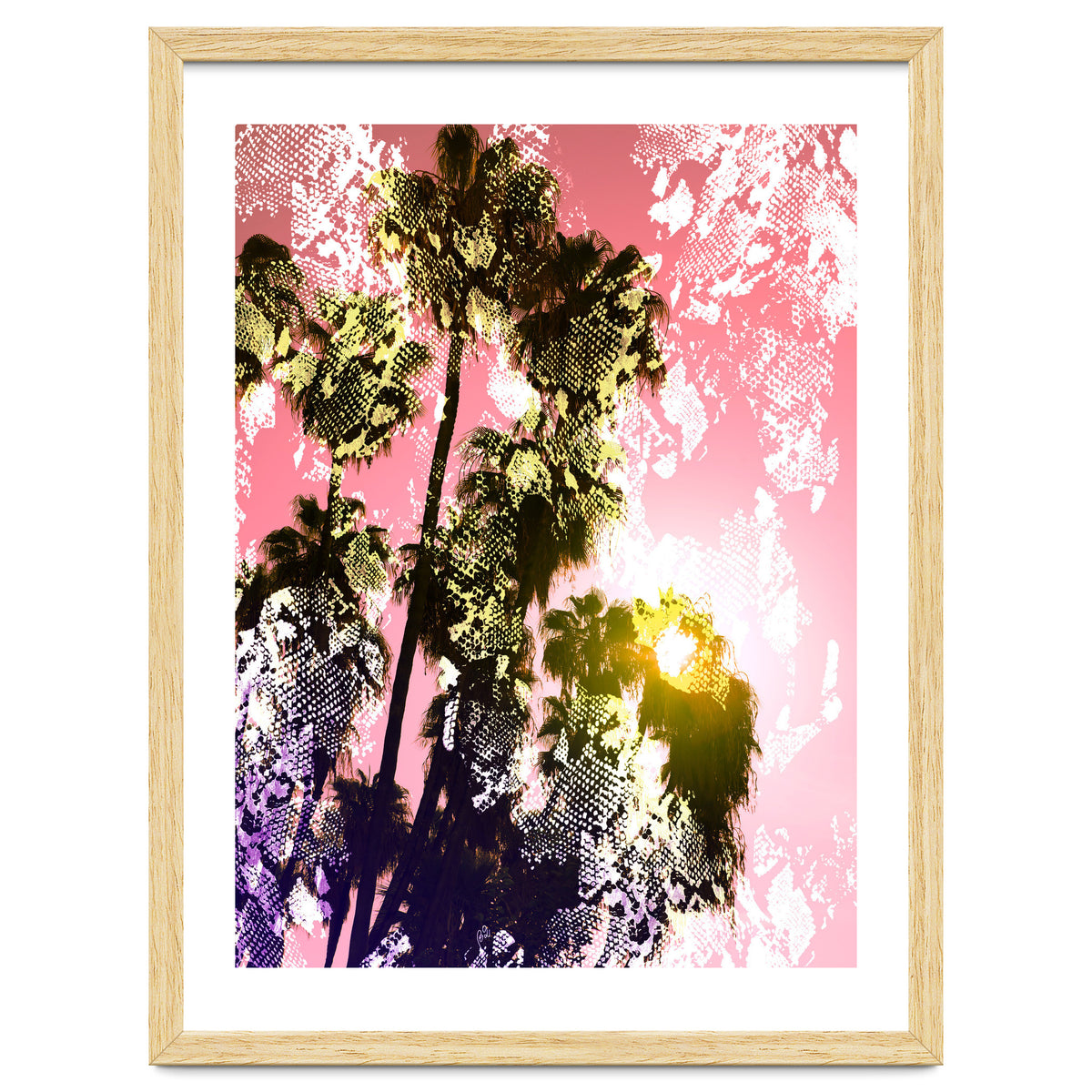 Snake sunset in paradise