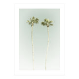 Vintage Palm Trees  (Print Only) thumbnail