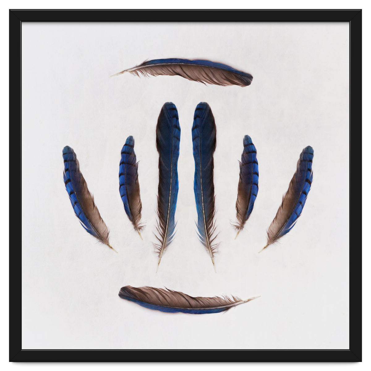 Forgive Me For Forgetting