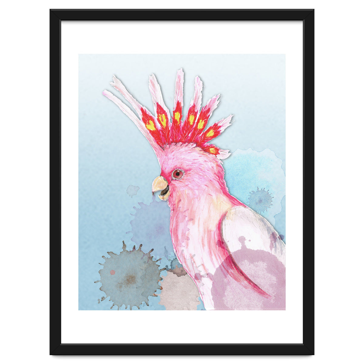 Major Mitchell's cockatoo