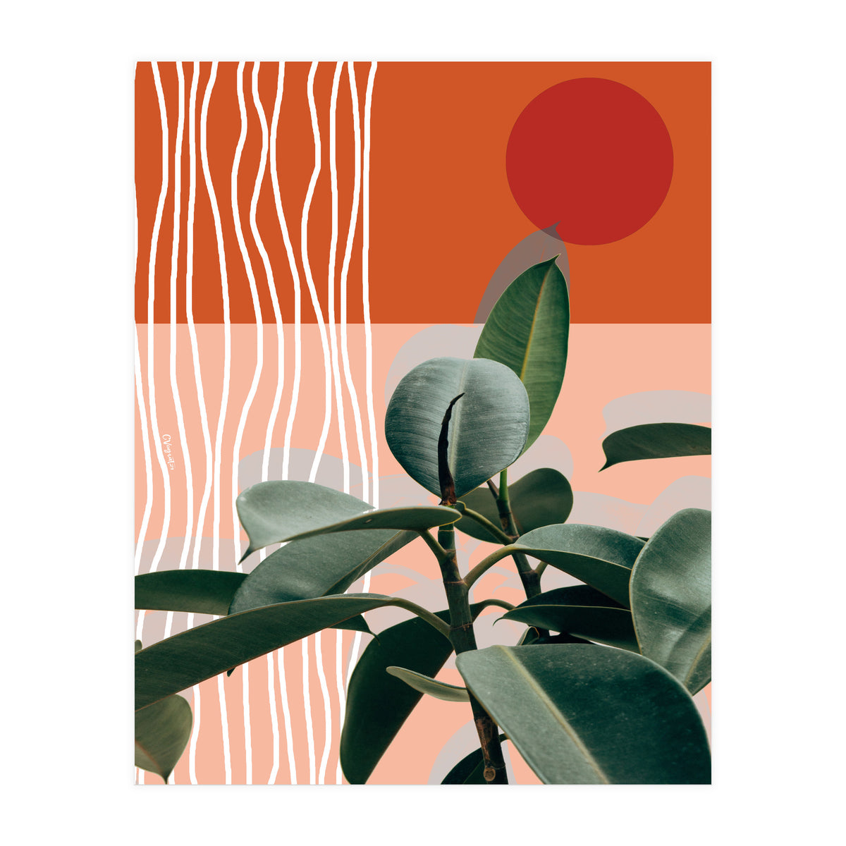 Times of a Growing Plant (Print Only)