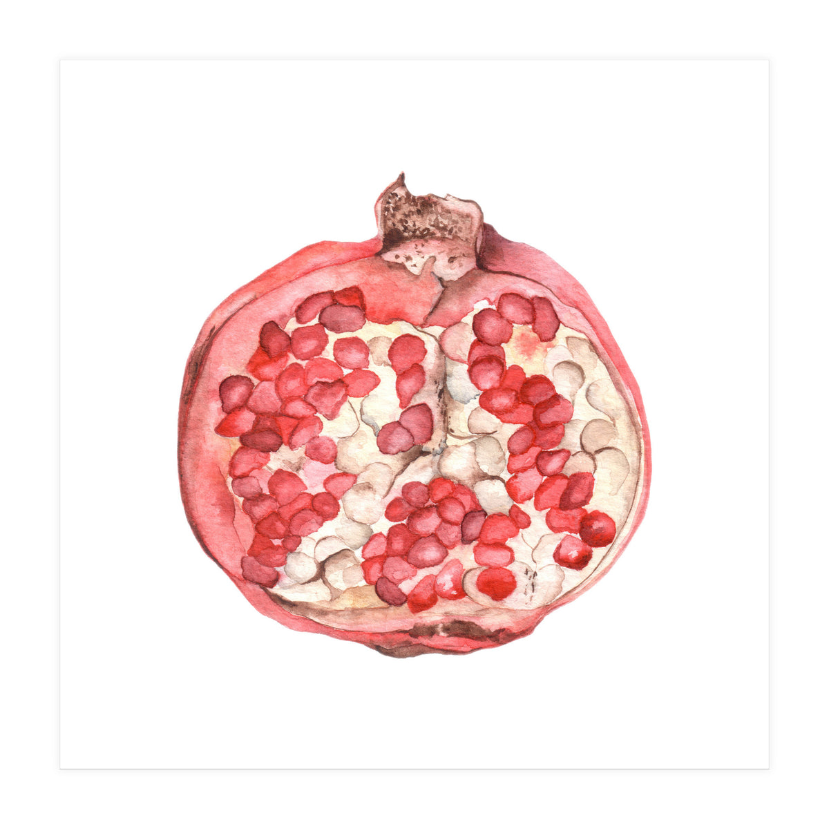 Pomegranate (Print Only)