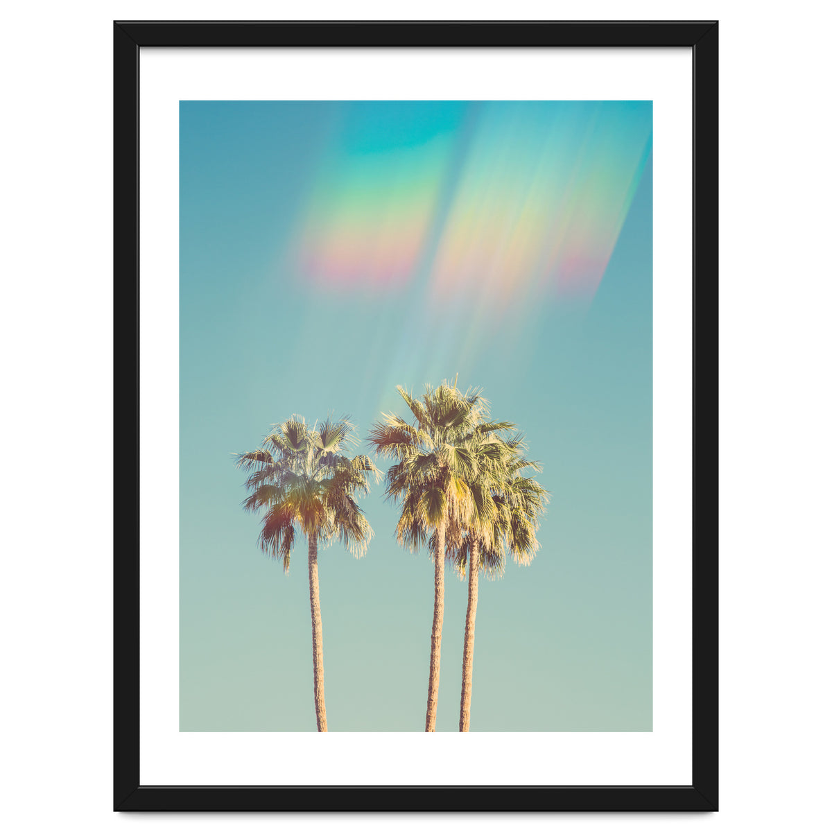 Groovy California Palm Trees